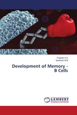 Development of Memory - B Cells