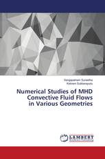 Numerical Studies of MHD Convective Fluid Flows in Various Geometries