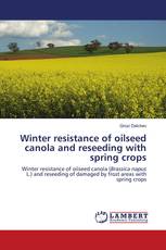 Winter resistance of oilseed canola and reseeding with spring crops