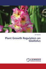 Plant Growth Regulators on Gladiolus