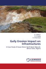 Gully Erosion Impact on Infrastructures