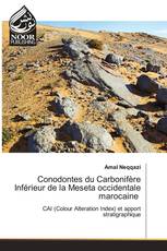 Conodontes du Carbonifère Inférieur de la Meseta occidentale marocaine