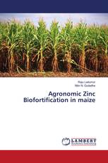 Agronomic Zinc Biofortification in maize