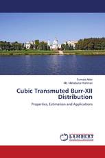 Cubic Transmuted Burr-XII Distribution