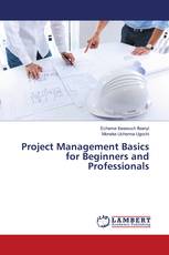Project Management Basics for Beginners and Professionals