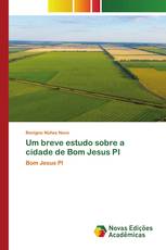 Um breve estudo sobre a cidade de Bom Jesus PI