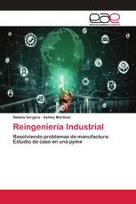 Reingeniería Industrial