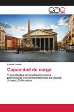 Capacidad de carga