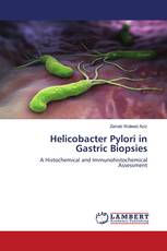 Helicobacter Pylori in Gastric Biopsies