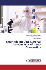 Synthesis and Antibacterial Performance of Nano Composites