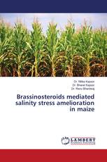 Brassinosteroids mediated salinity stress amelioration in maize