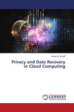 Privacy and Data Recovery in Cloud Computing