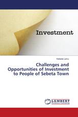 Challenges and Opportunities of Investment to People of Sebeta Town