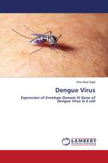 Dengue Virus