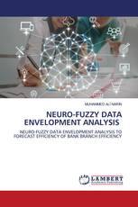 NEURO-FUZZY DATA ENVELOPMENT ANALYSIS