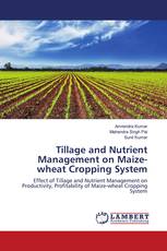 Tillage and Nutrient Management on Maize-wheat Cropping System