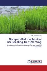 Non-puddled mechanical rice seedling transplanting