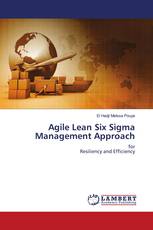 Agile Lean Six Sigma Management Approach