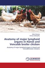 Anatomy of major lymphoid organs in Hansli and Vencobb broiler chicken