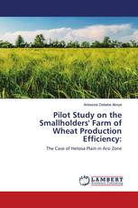 Pilot Study on the Smallholders' Farm of Wheat Production Efficiency: