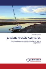 A North Norfolk Saltmarsh