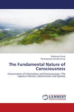 The Fundamental Nature of Consciousness