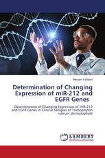 Determination of Changing Expression of miR-212 and EGFR Genes