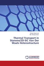Thermal Transport in Stanene/2D-SiC Van Der Waals Heterostructure