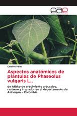 Aspectos anatómicos de plántulas de Phaseolus vulgaris L.,