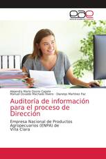 Auditoría de información para el proceso de Dirección