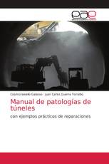 Manual de patologías de túneles