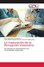 La maduración de la Percepción Visomotriz