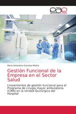 Gestión Funcional de la Empresa en el Sector Salud