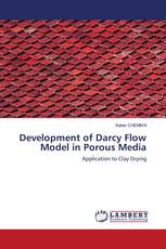 Development of Darcy Flow Model in Porous Media