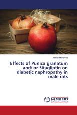 Effects of Punica granatum and/ or Sitagliptin on diabetic nephropathy in male rats