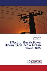 Effects of Electric Power Blackouts on Steam Turbine Power Plants