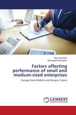 Factors affecting performance of small and medium-sized enterprises