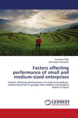 Factors affecting performance of small and medium-sized enterprises