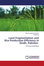 Land Fragmentation and Rice Production Efficiency in Sindh, Pakistan