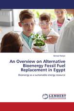 An Overview on Alternative Bioenergy Fossil Fuel Replacement in Egypt