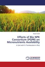 Effects of Bio NPK Consortium (PGPR) on Micronutrients Availability