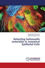 Detecting Salmonella enteritidis in Intestinal Epithelial Cells