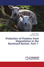 Protection of Proteins from Degradation in the Ruminant Rumen. Part 1