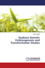 Soybean Somatic Embryogenesis and Transformation Studies