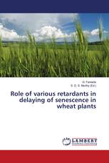 Role of various retardants in delaying of senescence in wheat plants