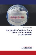 Personal Reflections from COVID-19 Pandemic Assessements