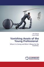 Vanishing Assets of the Young Professional