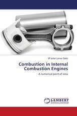 Combustion in Internal Combustion Engines