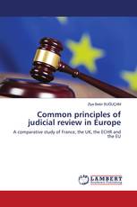 Common principles of judicial review in Europe