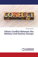Ethnic Conflict Between the Amhara and Gumuz Groups